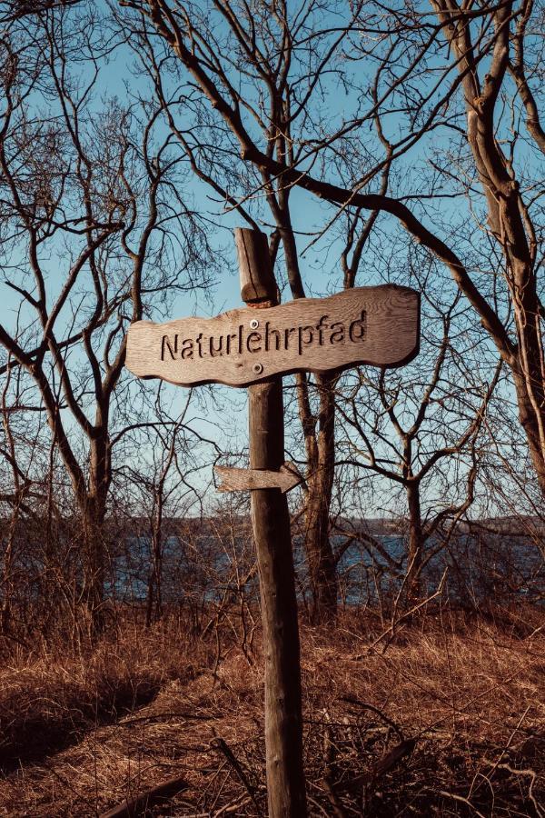 Auszeit Tollensesee Groß Nemerow 外观 照片